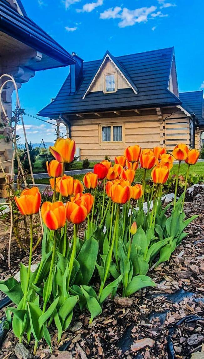 Domki Gorskie Janosik, Kwicol I Pyzdra Gliczarów Dış mekan fotoğraf